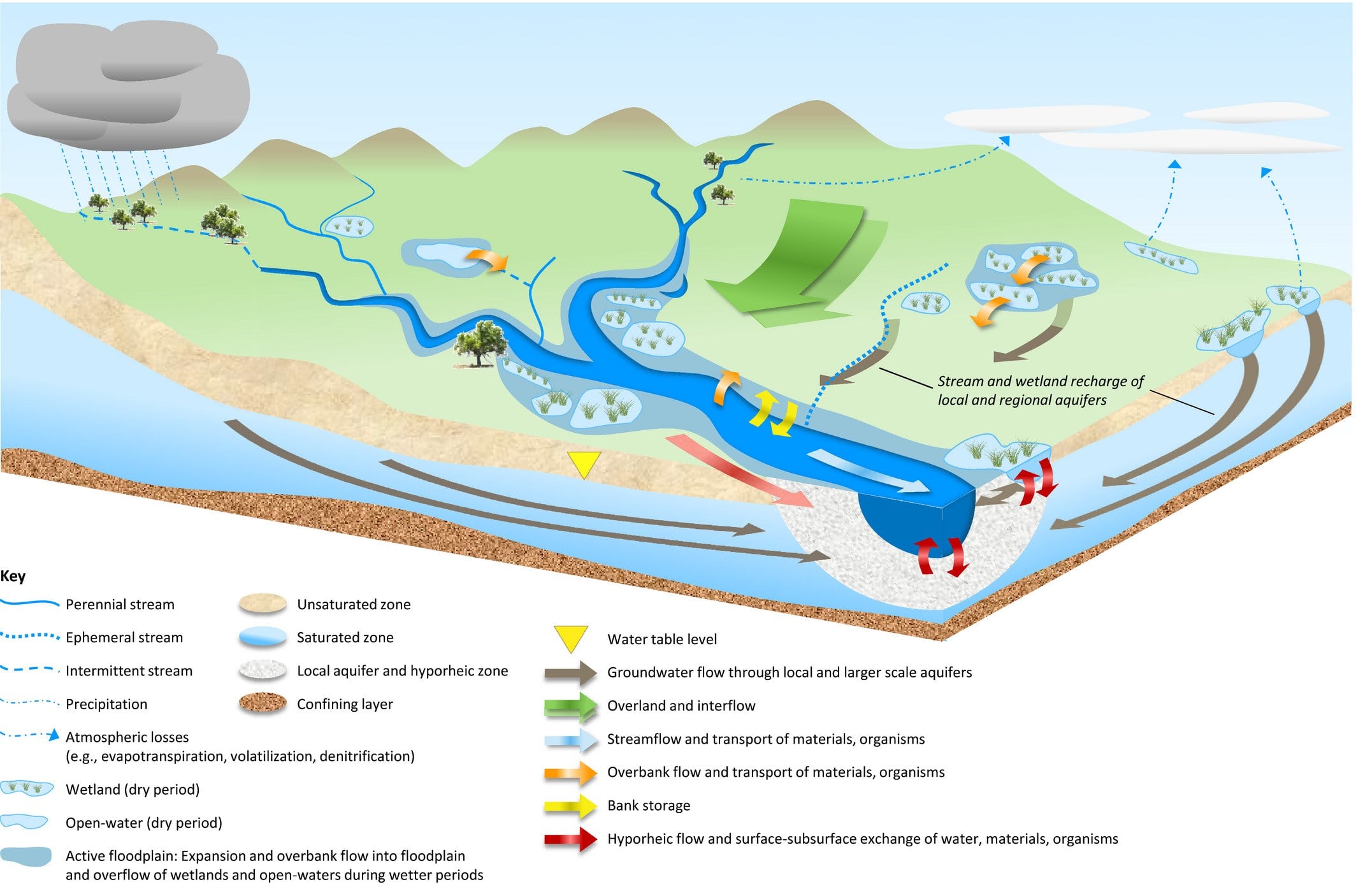 Diagram of a watershed cross-section showing perennial, intermittent, and ephemeral streams recharging local and regional aquifers through groundwater flow, overbank flow, and hyporheic exchange